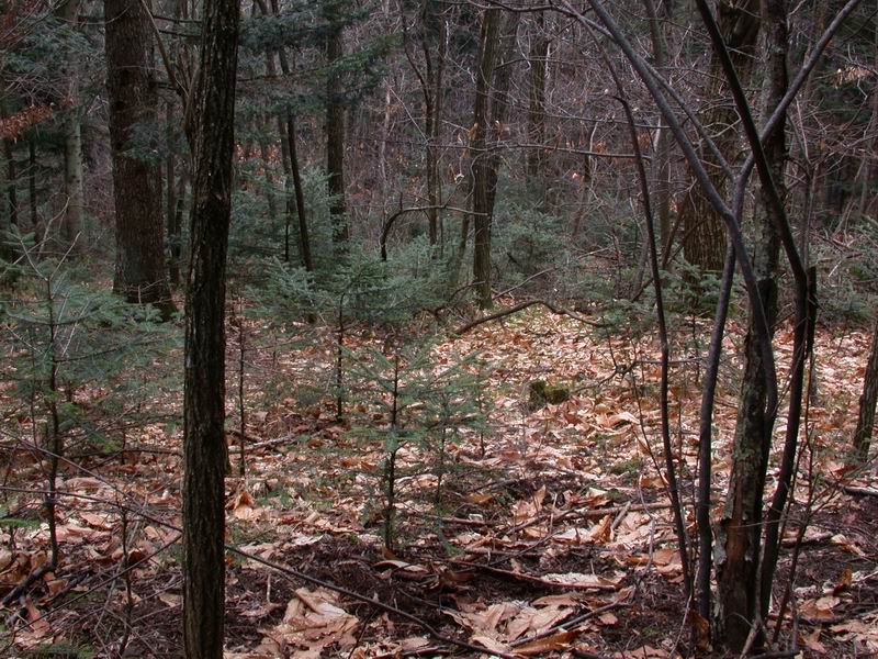 Prima escursione in montagna